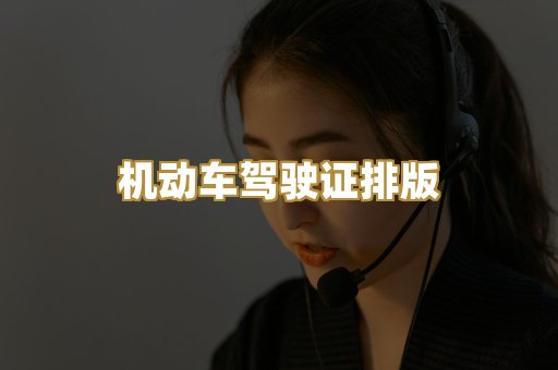机动车驾驶证排版